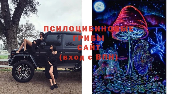 ALPHA-PVP Бугульма