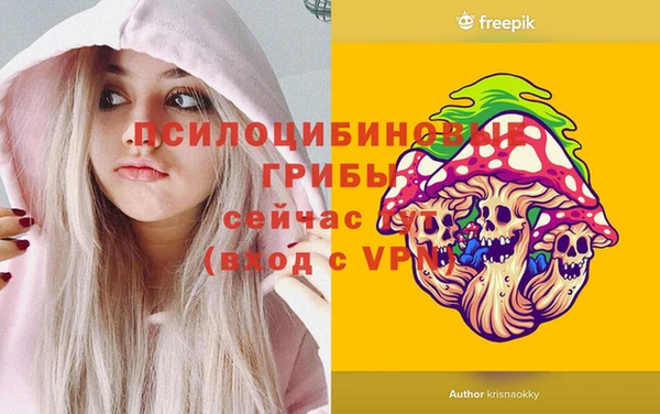 ALPHA-PVP Бугульма