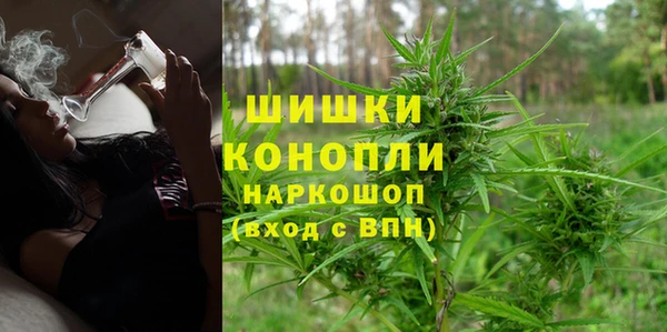 молекула духа Бородино
