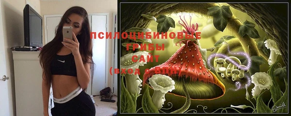 молекула духа Бородино