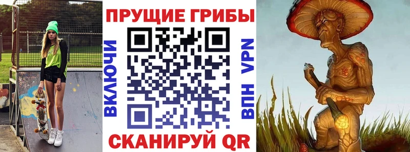 кракен tor  площадка состав  Галлюциногенные грибы MAGIC MUSHROOMS  Ковров 